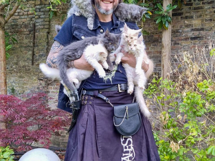 Comment choisir un élevage Maine Coon sérieux ?